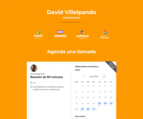 Davidvillalpando.com(David Villalpando) Screenshot