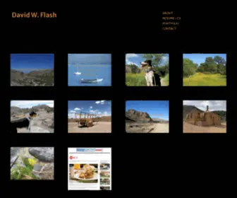 Davidwflash.com(David W) Screenshot