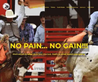 Davieprorodeo.com(Cowboy Town) Screenshot