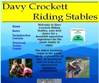 Davycrockettridingstables.com(Davy) Screenshot