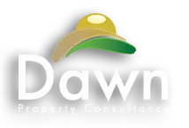 Dawnpropertyconsult.co.zw Favicon