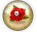 Dawnrosepearls.co.uk Favicon