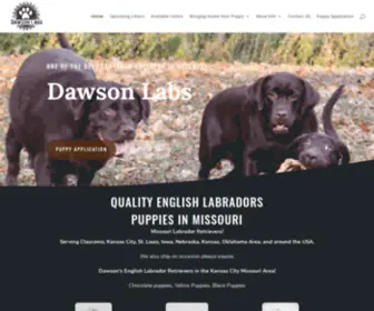 Dawsonlabs.com(Best Lab Breeder in Missouri) Screenshot