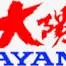 Dayangmoto.com Favicon