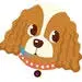 Daydogdesigns.com Favicon