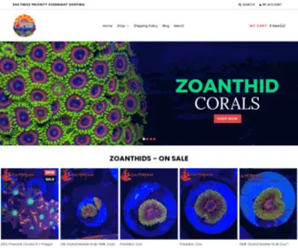 Daydreamcorals.com(Day Dream Corals) Screenshot