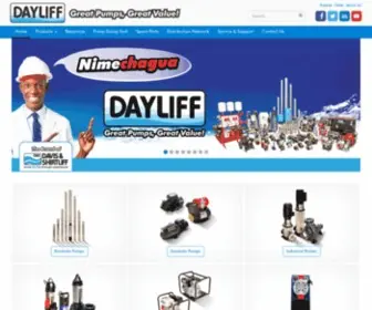 Dayliff.com(Great Pumps) Screenshot