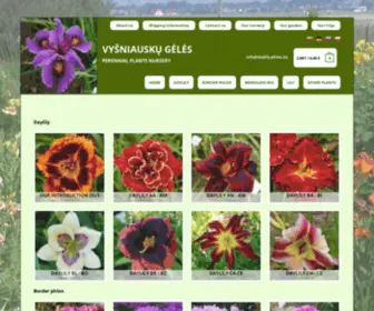 Daylily-Phlox.eu(Daylily Phlox) Screenshot