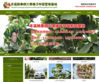 Dazhenzimiao.com(大榛子树苗) Screenshot