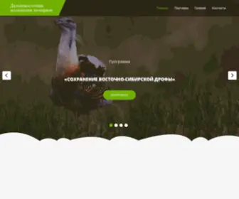 Dazoo.ru(Дальневосточная) Screenshot