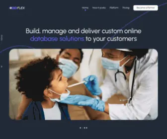 DBflex.net(Build, Sell, and Deliver On-Demand Business Applications) Screenshot