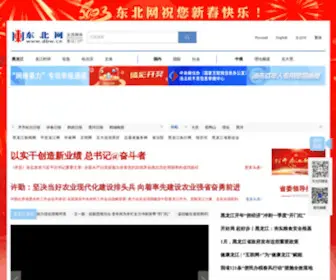 DBW.cn(东北网) Screenshot