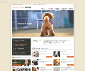 DC-SP.com(DC SP) Screenshot