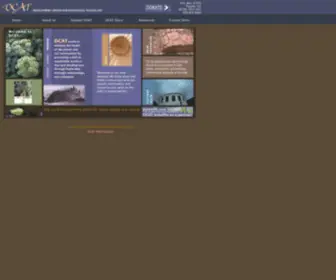 Dcat.net(Development Center for Appropriate Technology) Screenshot