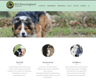 DCH-Dronninglund.dk(DCH Dronninglund) Screenshot