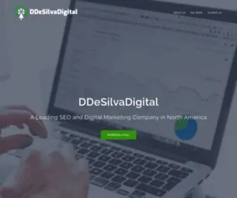 DDesilvadigital.com(Digital Marketing Agency) Screenshot