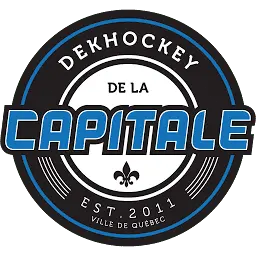 DDLC.ca Logo