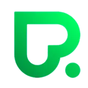 DDsar.ru Favicon