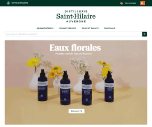 DE-Sainthilaire.com(DE Sainthilaire) Screenshot