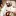 Deadendfollies.com Favicon
