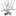 Deadwintercarpenters.com Favicon