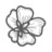 Dearwildflowers.co Favicon