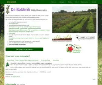Debolderik.net(De Bolderik) Screenshot