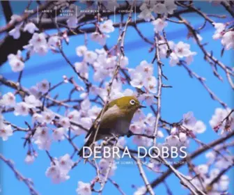 Debradobbs.com(Chicago Realtor) Screenshot