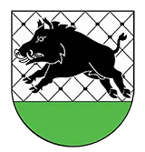 Debrzno.pl Logo