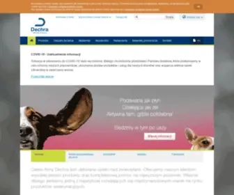 Dechra.pl(Dechra) Screenshot