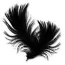 Decoplumes.com Favicon