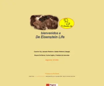 Deeisensteinlife.com.ar(DE EISENSTEIN LIFE) Screenshot