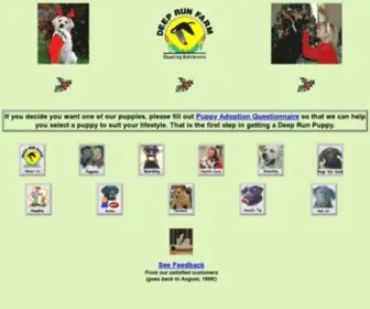 Deeprunretrievers.com(Deep Run Farm Labrador Rerievers) Screenshot