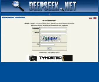 Deepseek.net(Deepseek) Screenshot