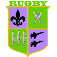 Deepsouthrugby.net Favicon