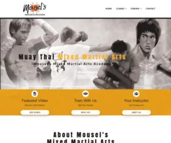 Defend.net(Mousel's Mixed Martial Arts Academy) Screenshot