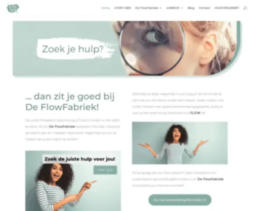 Deflowfabriek.be(De flowfabriek) Screenshot