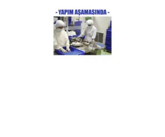 Defnilpharma.com(Defnil Pharma) Screenshot