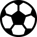 Deine-Fussballwelt.de Favicon