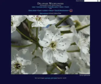 Delawarewildflowers.org(Delaware Wildflowers) Screenshot