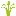 Delectableplanet.com Favicon