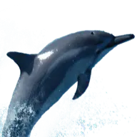 Delfin13.com Favicon