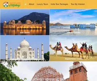 Delightfulindiaholidays.com(Delight India Tours) Screenshot