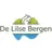 Delilsebergen.be Logo