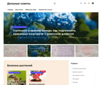 Delniesoveti.ru(Дельные советы интернет) Screenshot
