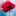 Deloreslowefriedman.com Favicon