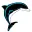 Delphinus.be Favicon