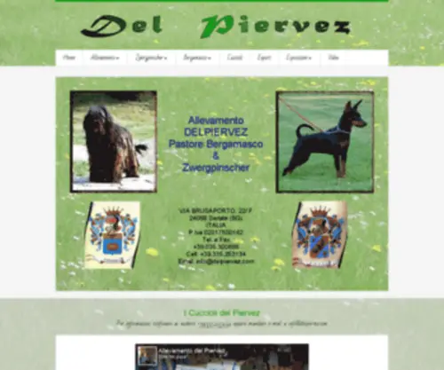 Delpiervez.com(Del Piervez) Screenshot