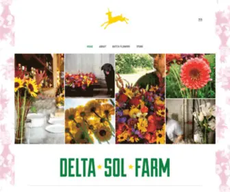 Deltasolfarm.com Screenshot