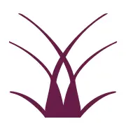 Delubac-AM.fr Logo